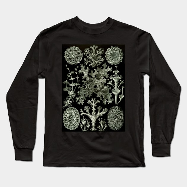 Lichen by Ernst Haeckel Long Sleeve T-Shirt by MasterpieceCafe